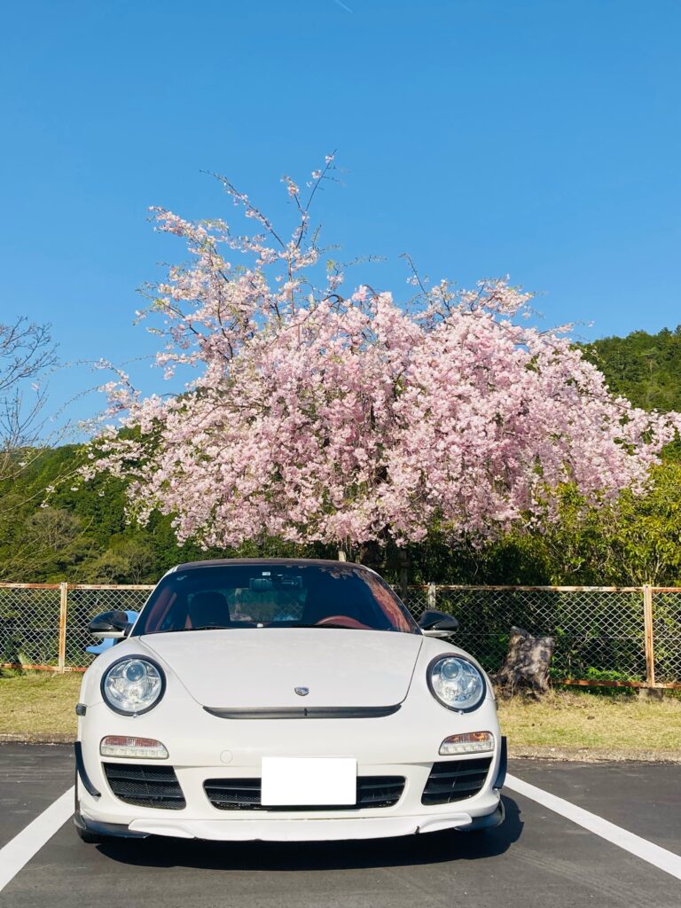 げこ太 × 桜