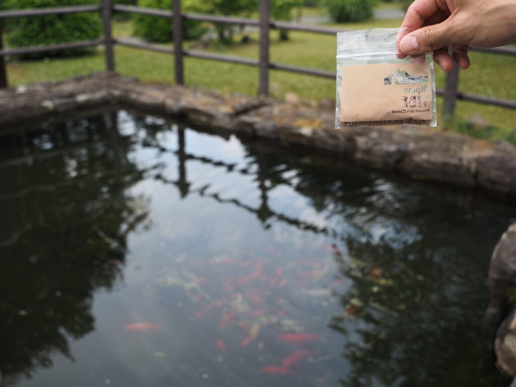 箱根ターンパイク