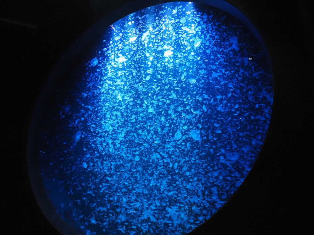 加茂水族館