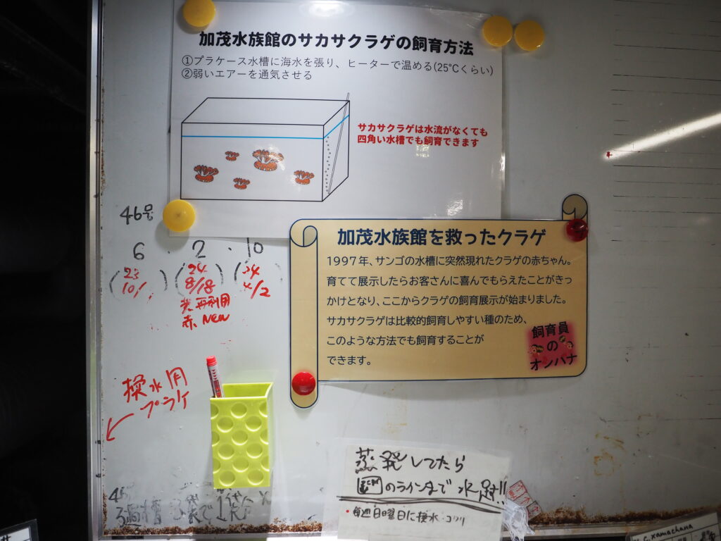 加茂水族館