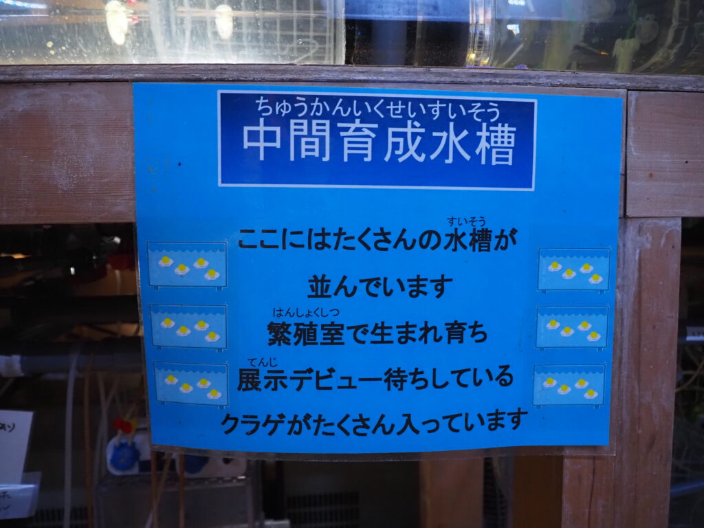 加茂水族館