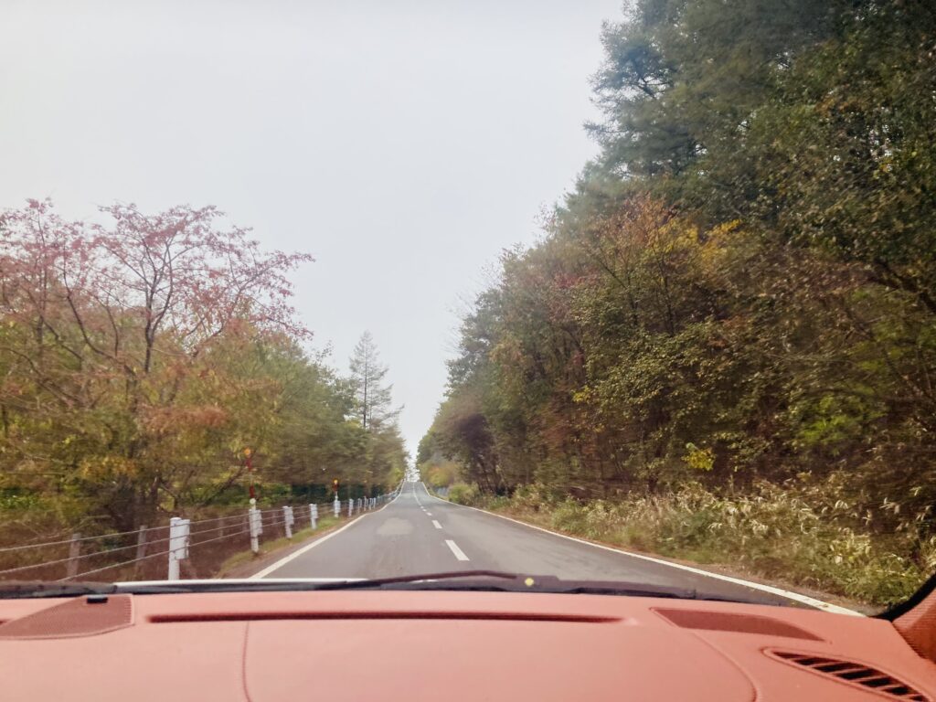 ビーナスライン