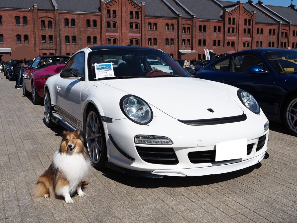 げこ太&わんこ げこ太&わんこ