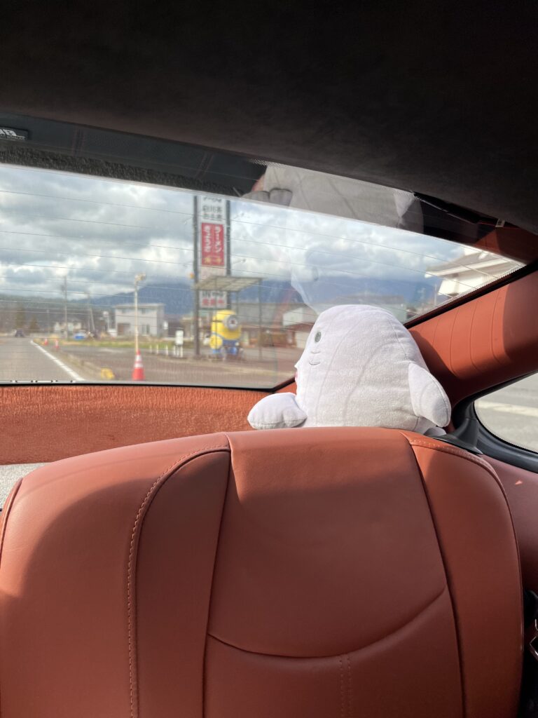 さめにゃんとミニオン